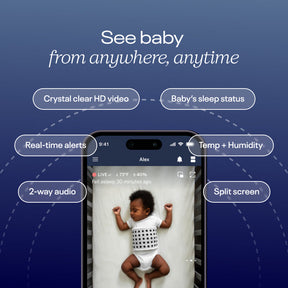 The Essentials Bundle